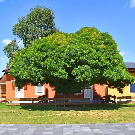 Am Oase Am Vilzsee * 미로우