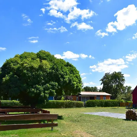 Am Oase Am Vilzsee 아파트 미로우