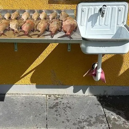 Am Oase Am Vilzsee * 미로우