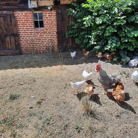 Διαμέρισμα Am Oase Am Vilzsee