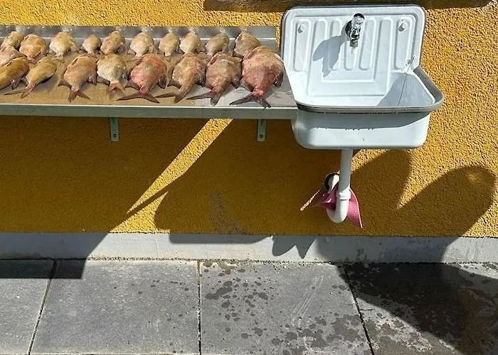 Am Oase Am Vilzsee * Mirow