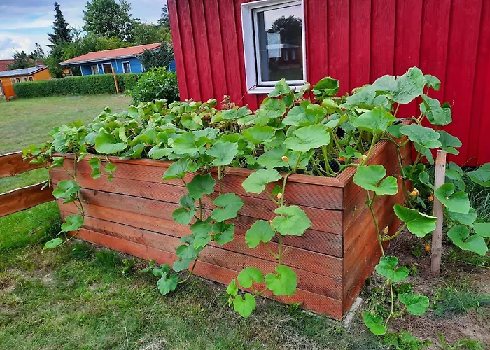 Am Oase Am Vilzsee *